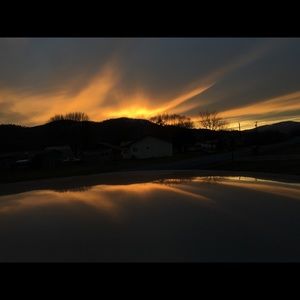 Meet your Posher, Bailey